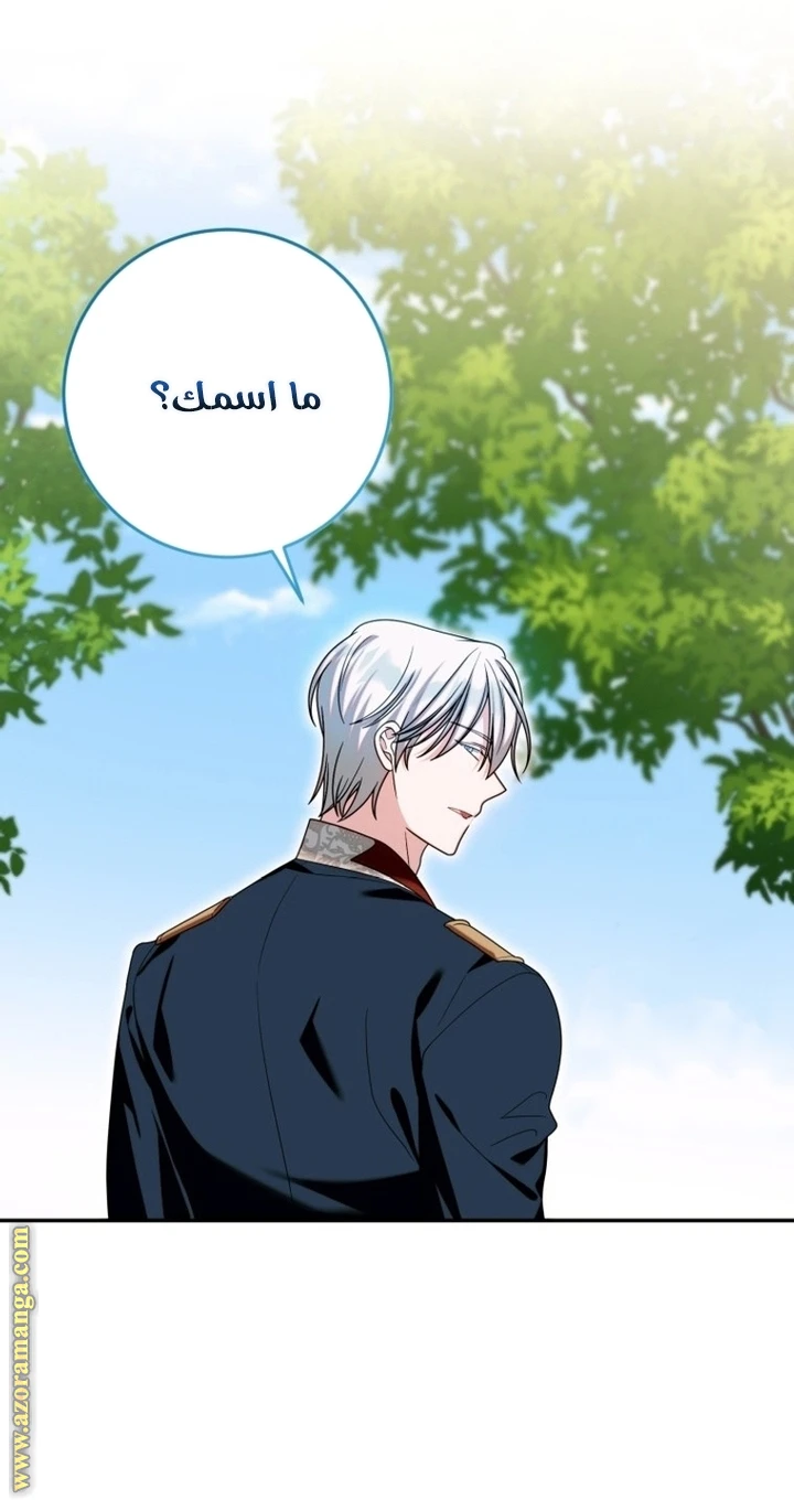 الصفحة 43