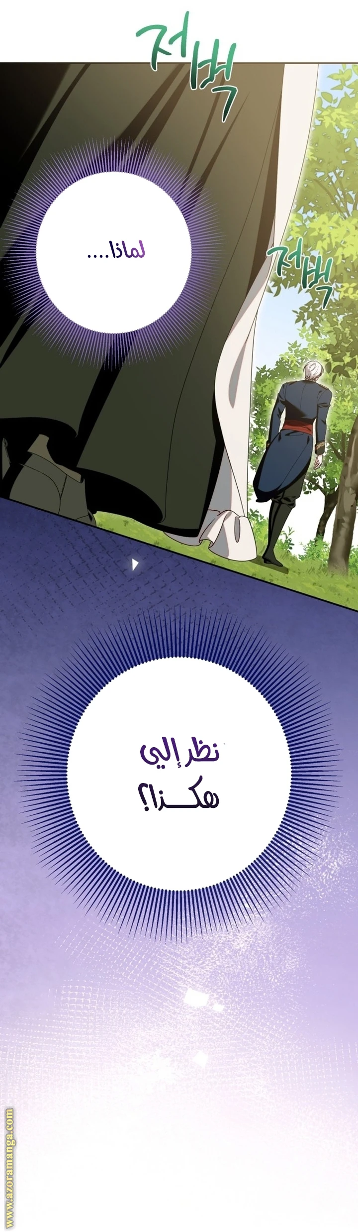 الصفحة 46
