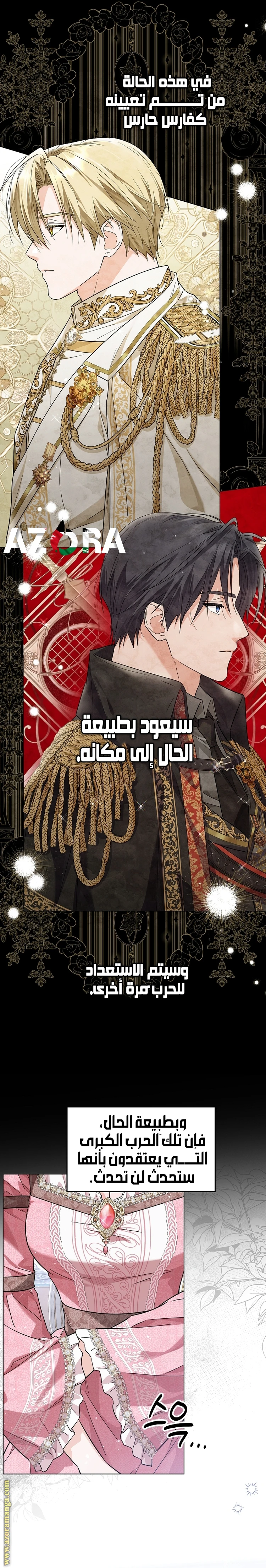 الصفحة 13