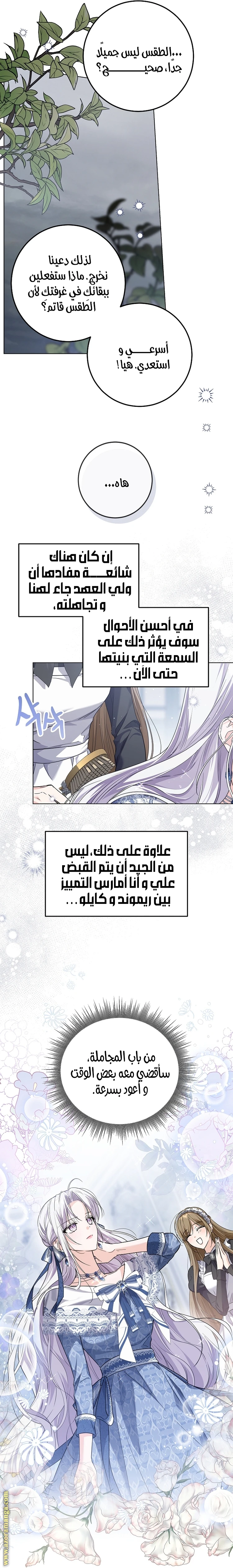 الصفحة 17