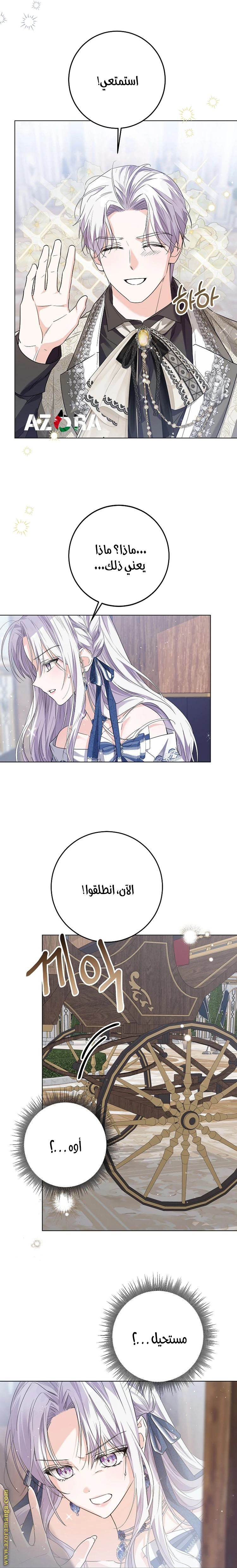 الصفحة 25