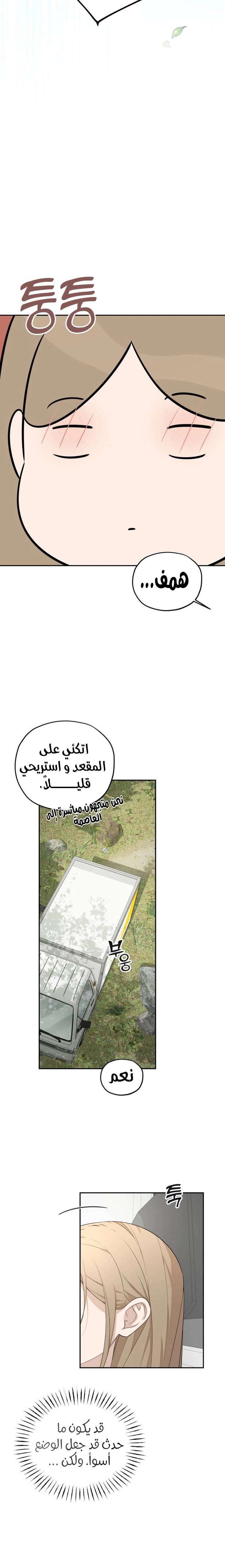 الصفحة 17