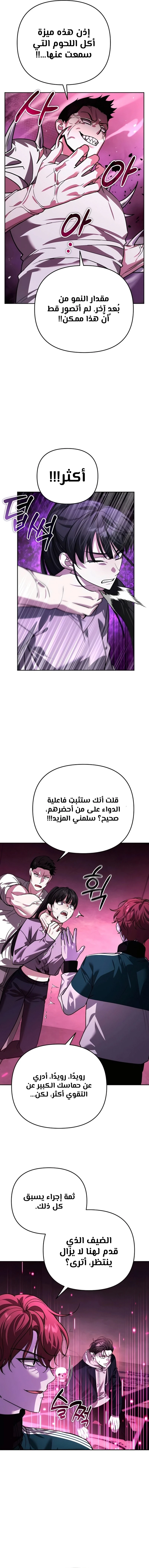الصفحة 17