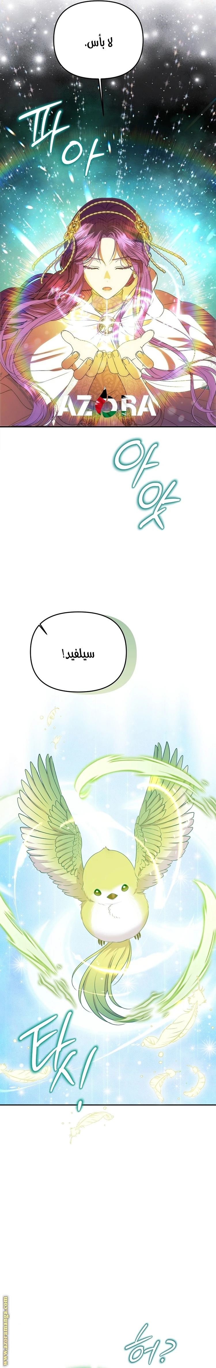 الصفحة 13