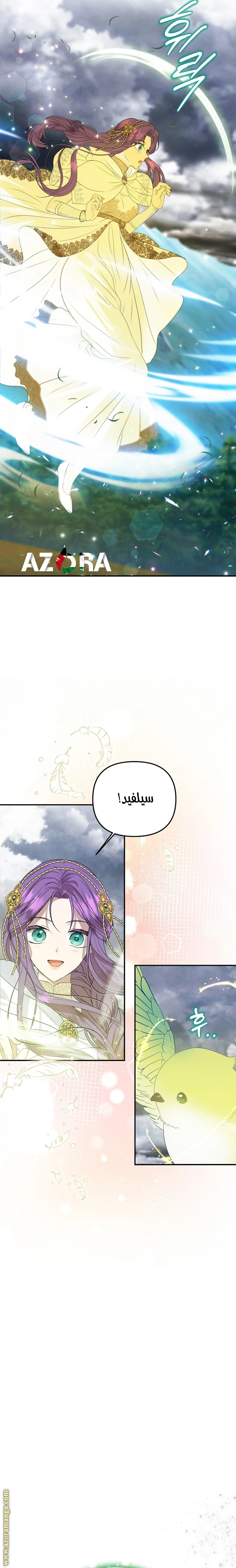 الصفحة 19