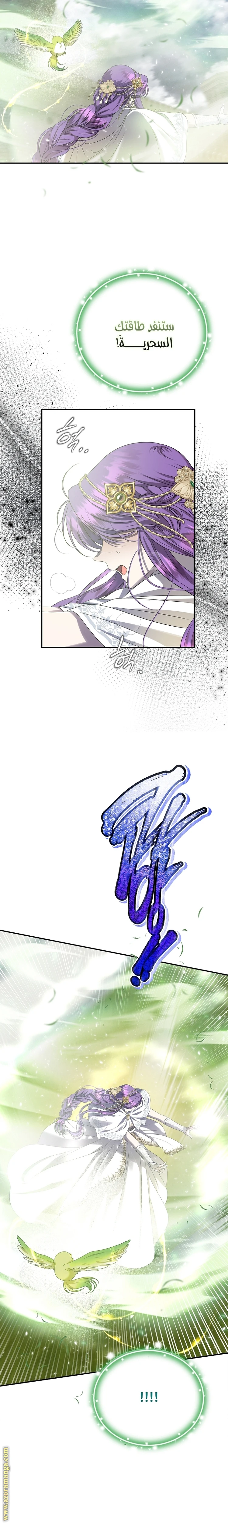 الصفحة 29