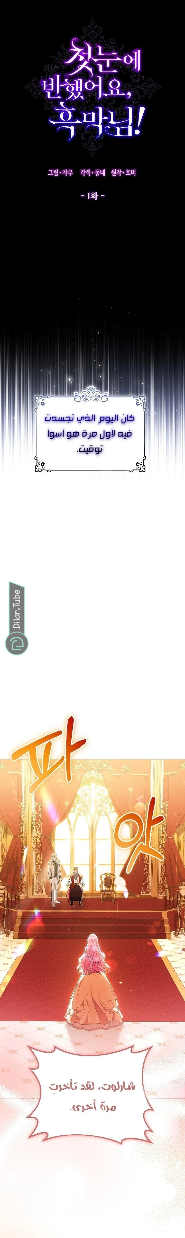 الصفحة 11