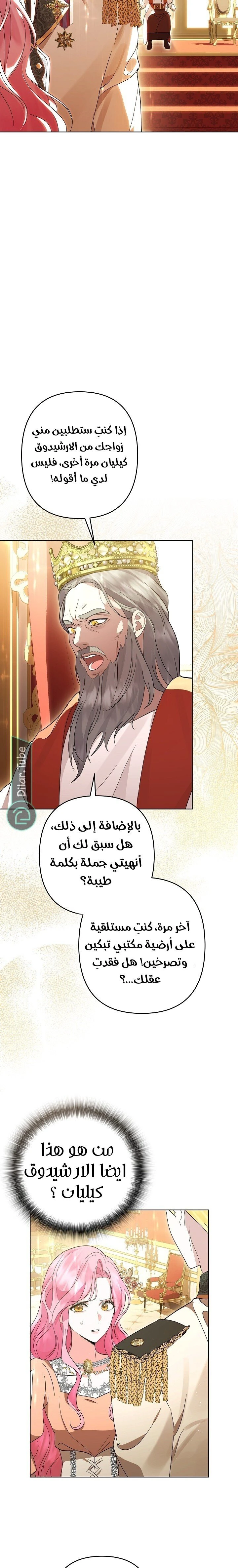الصفحة 17
