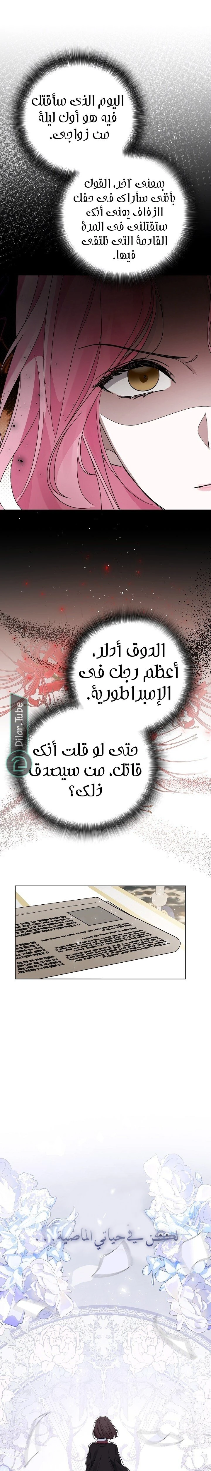 الصفحة 25