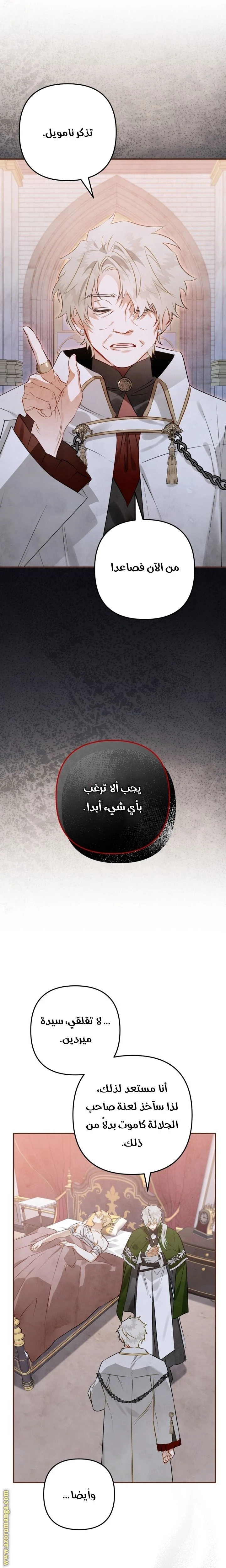 الصفحة 13