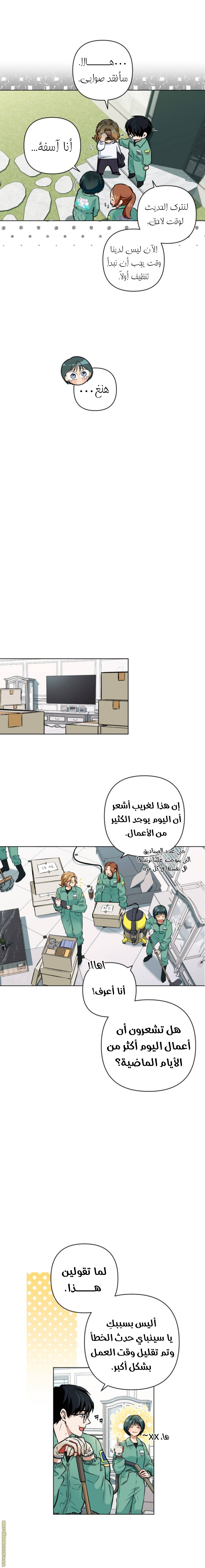 الصفحة 11