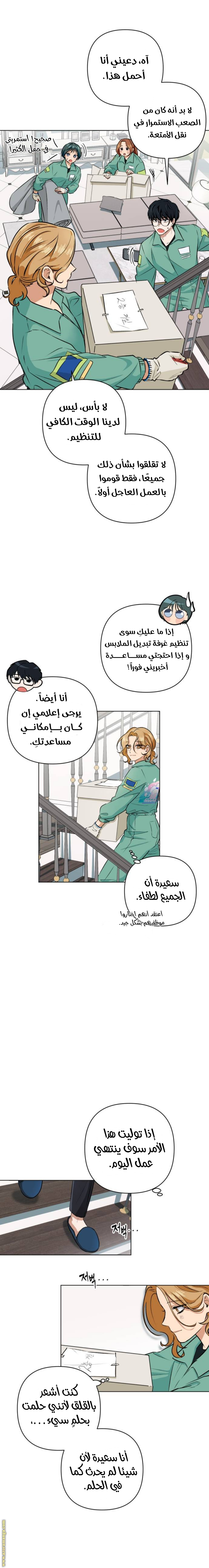 الصفحة 13