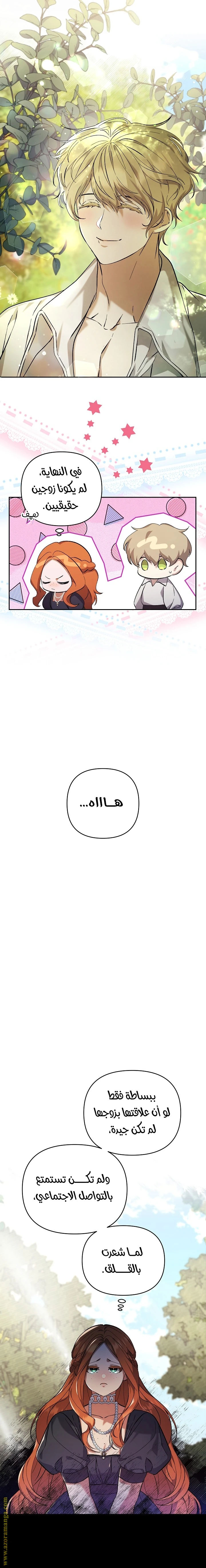الصفحة 3