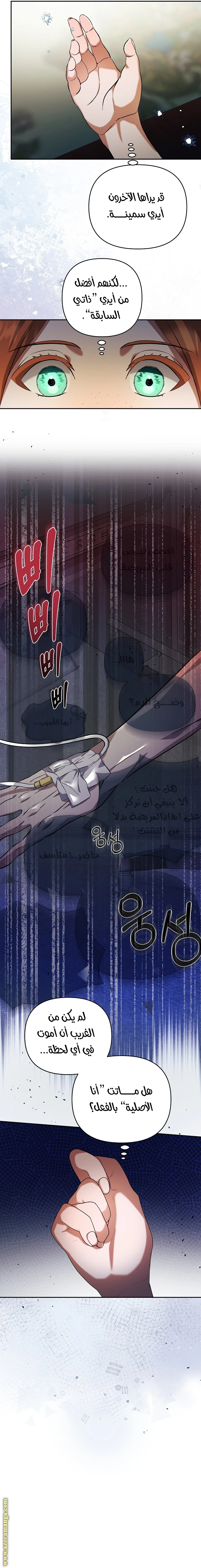 الصفحة 15