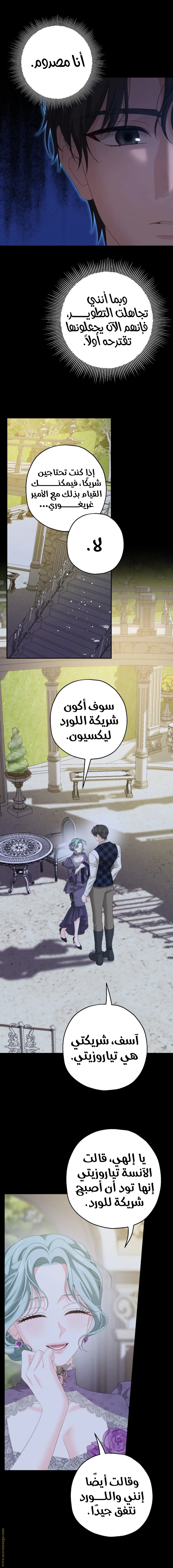 الصفحة 3