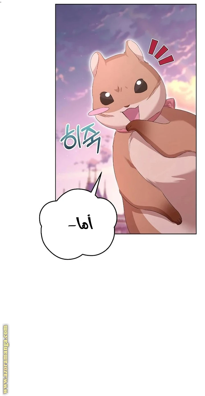 الصفحة 34