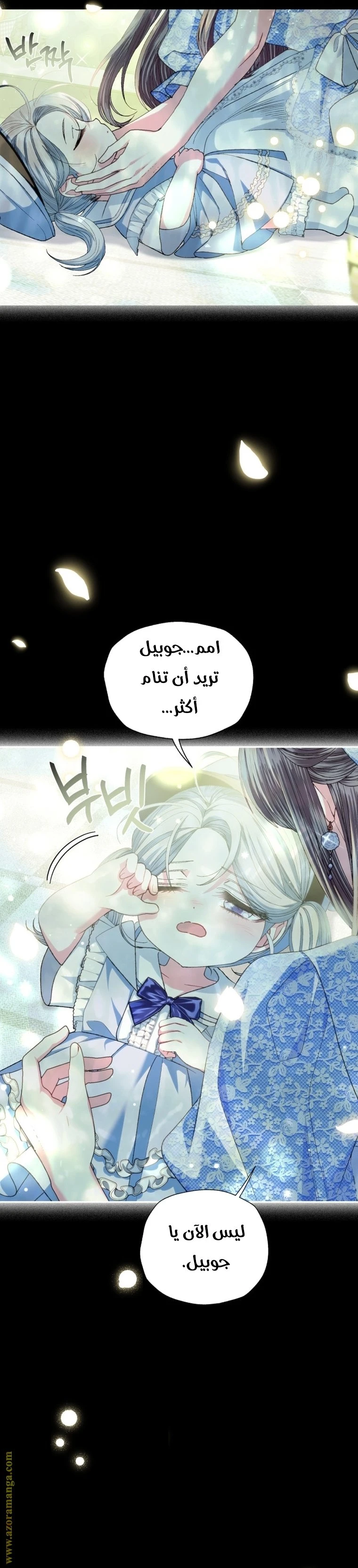 الصفحة 29
