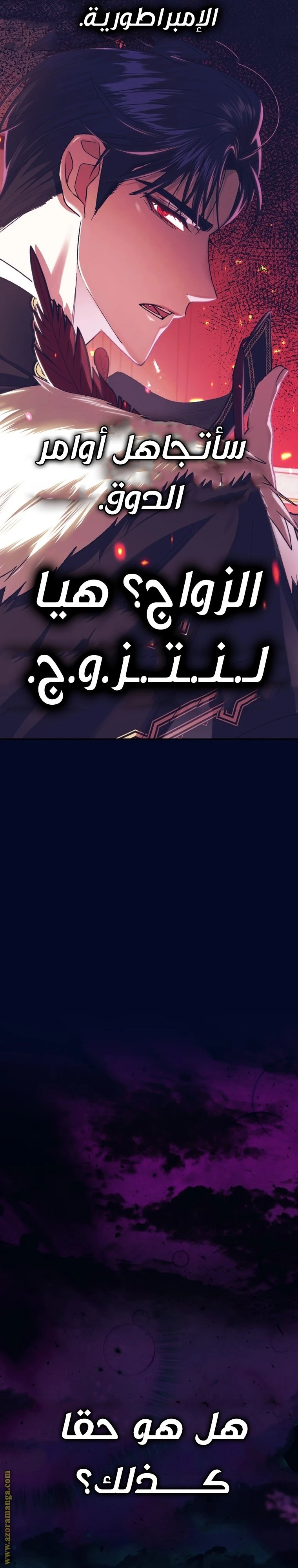الصفحة 43