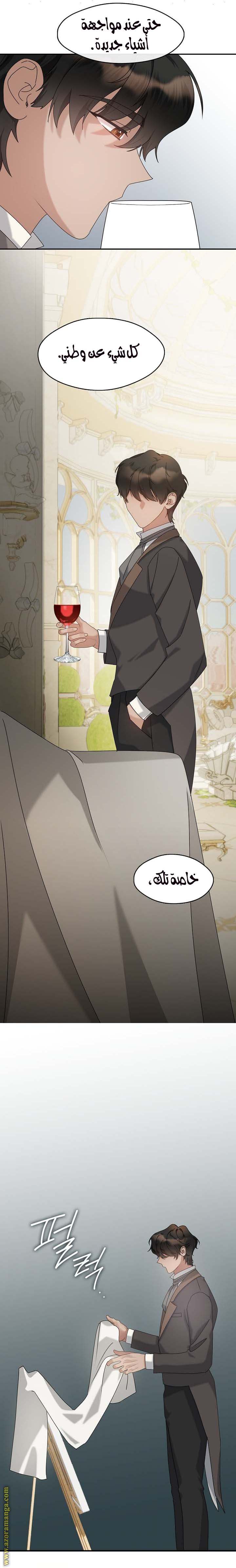 الصفحة 18