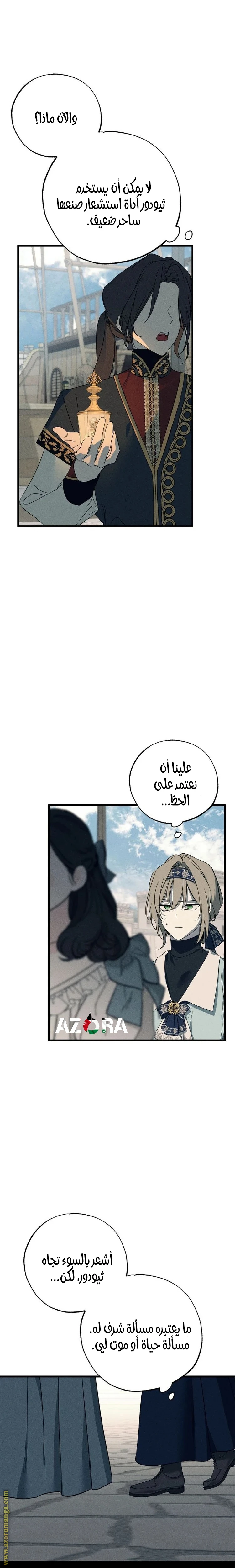 الصفحة 17