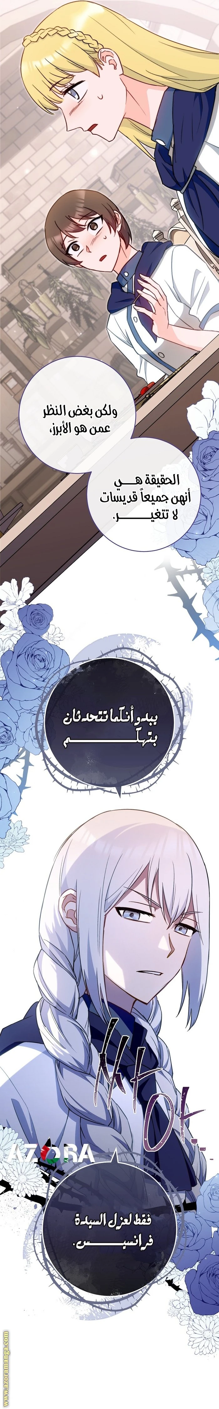 الصفحة 13