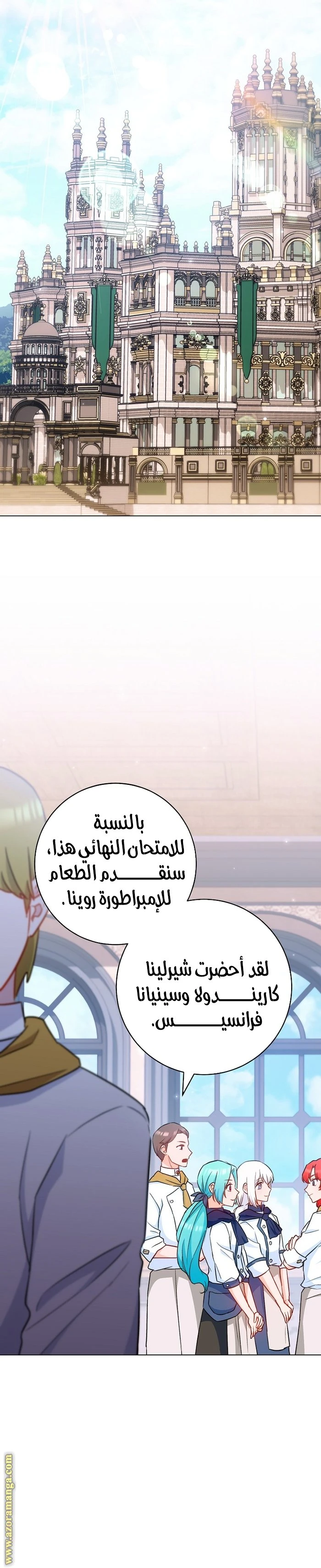 الصفحة 17