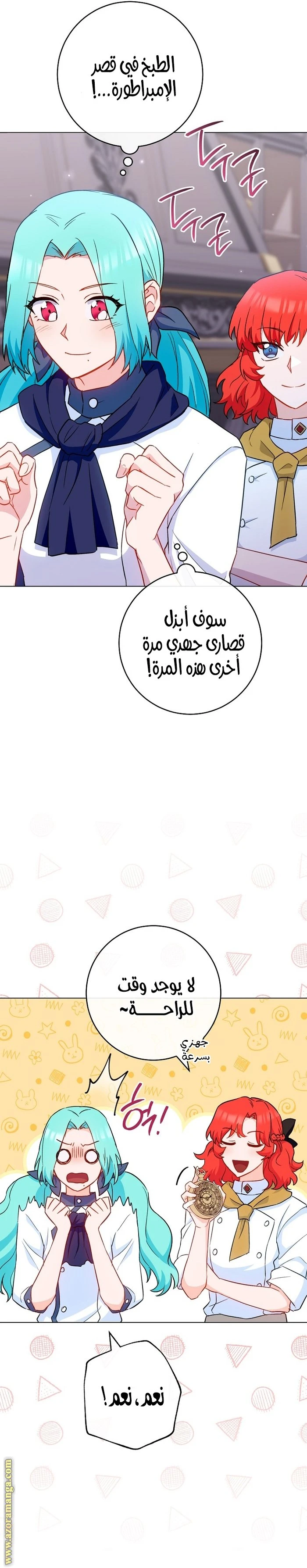 الصفحة 19