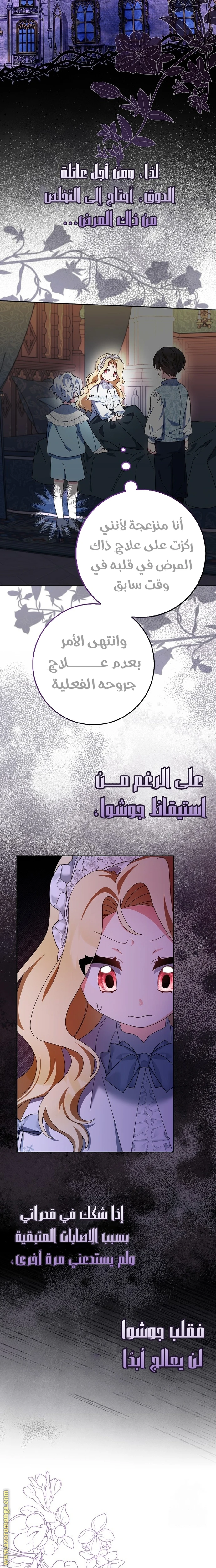 الصفحة 17