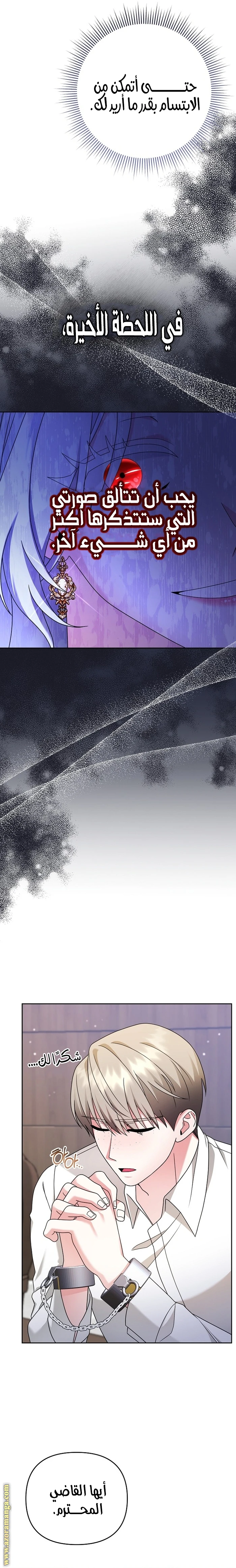 الصفحة 17