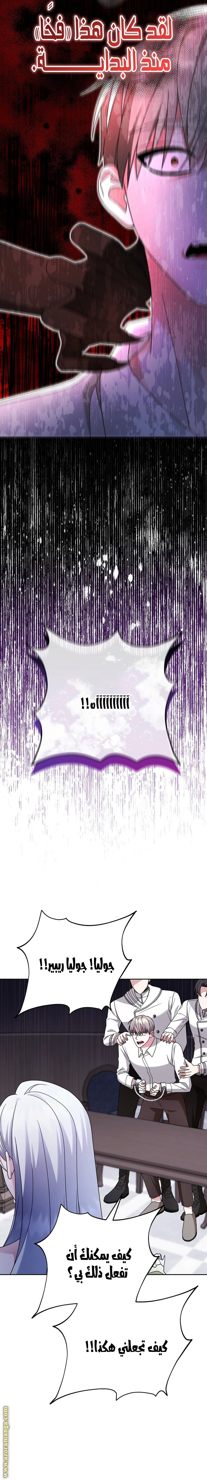 الصفحة 25
