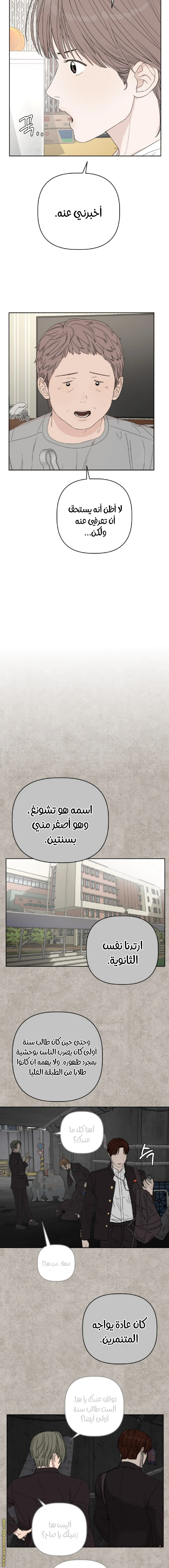 الصفحة 11