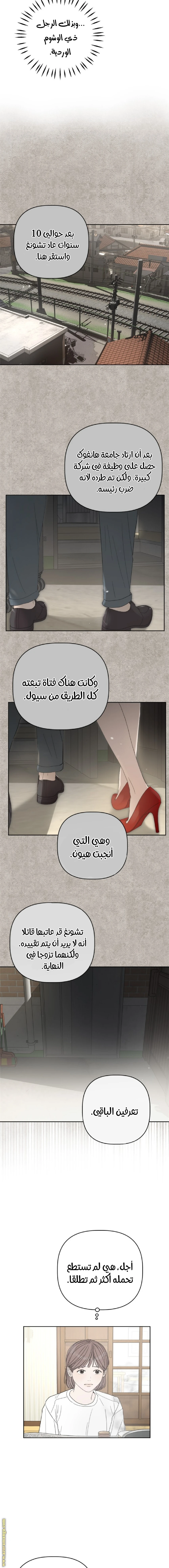 الصفحة 13