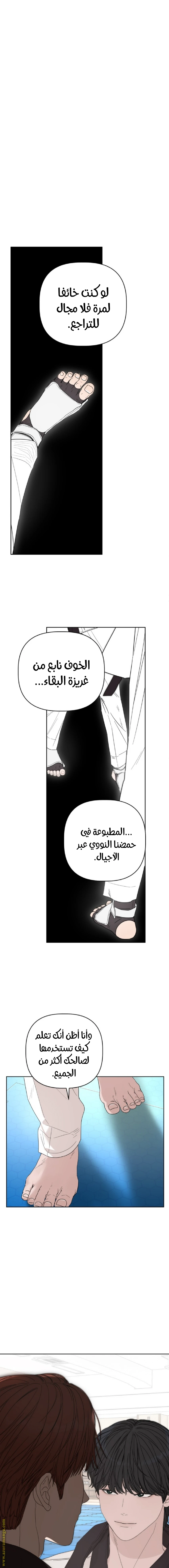 الصفحة 19