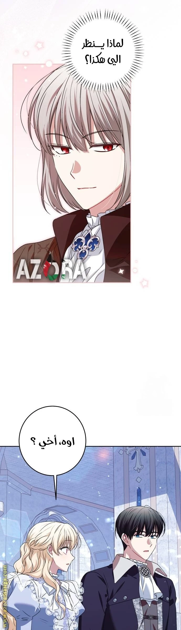 الصفحة 13