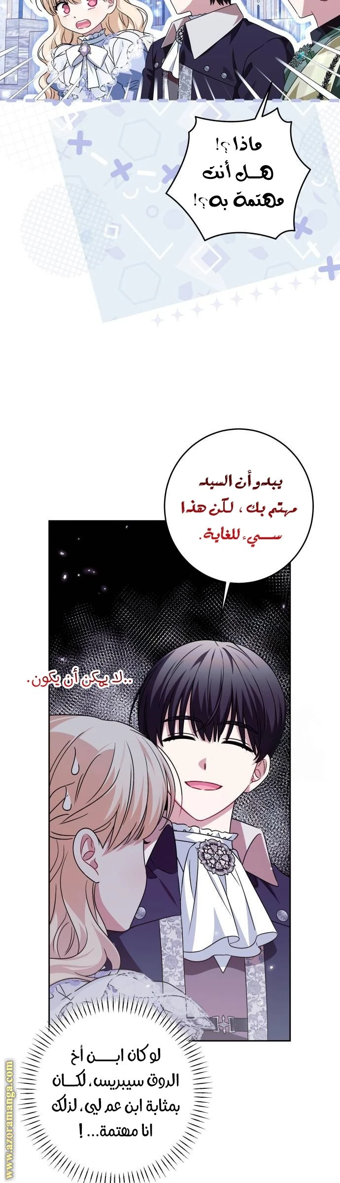 الصفحة 17