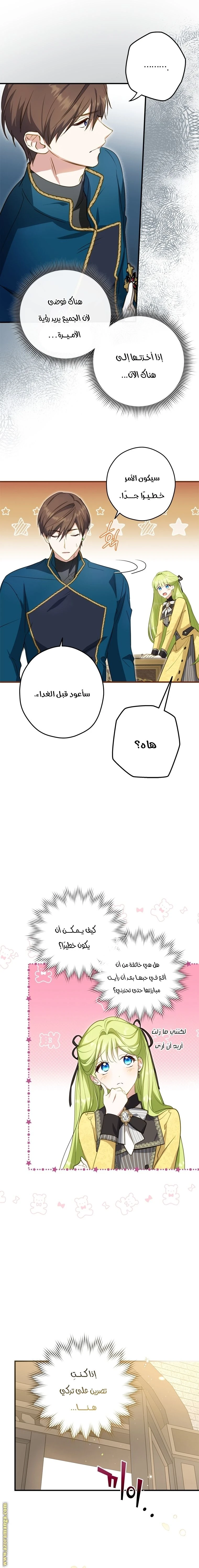 الصفحة 13