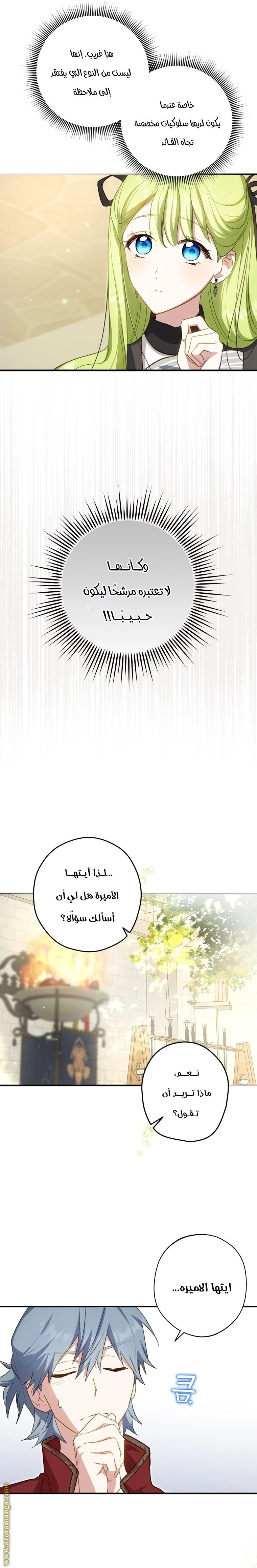 الصفحة 21