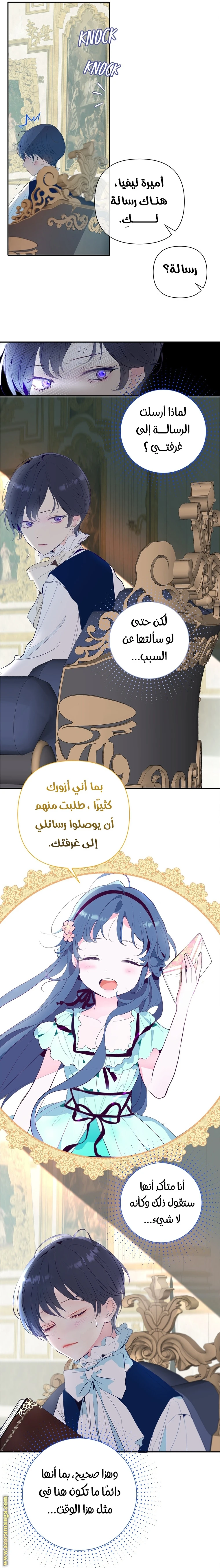 الصفحة 17