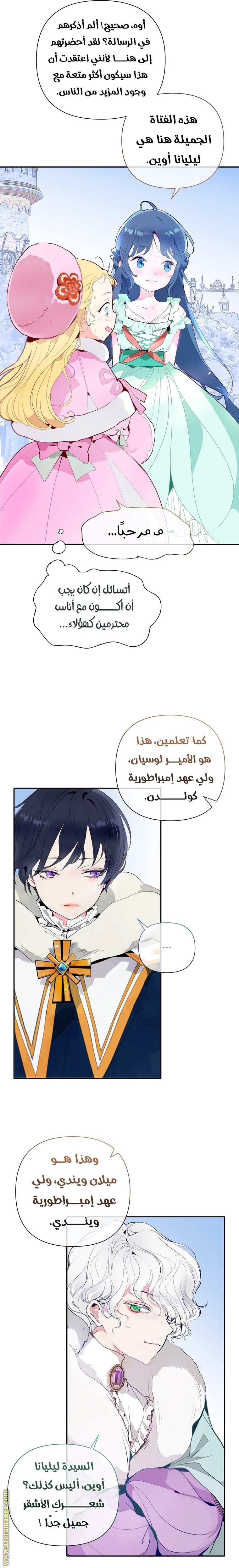 الصفحة 26