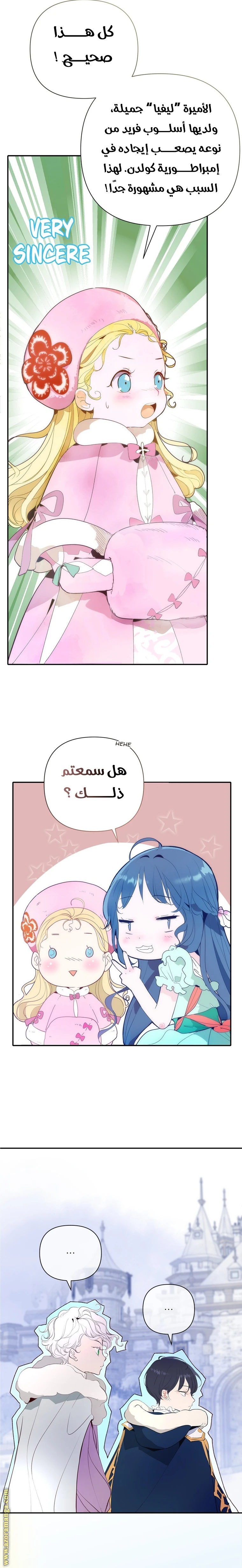 الصفحة 28