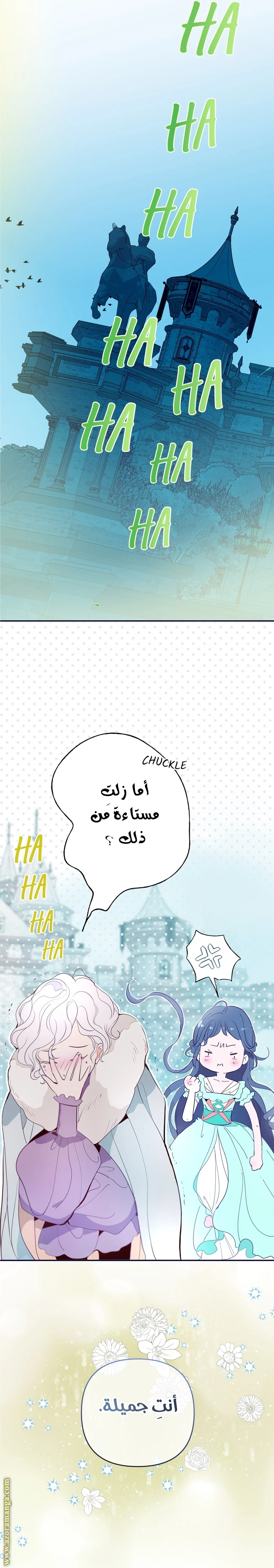 الصفحة 29