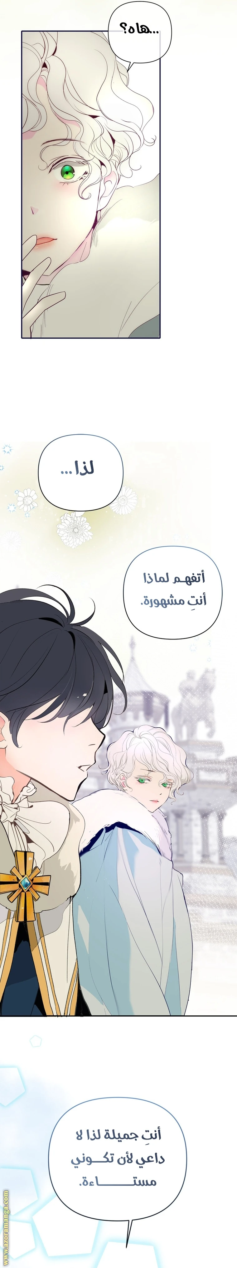 الصفحة 30