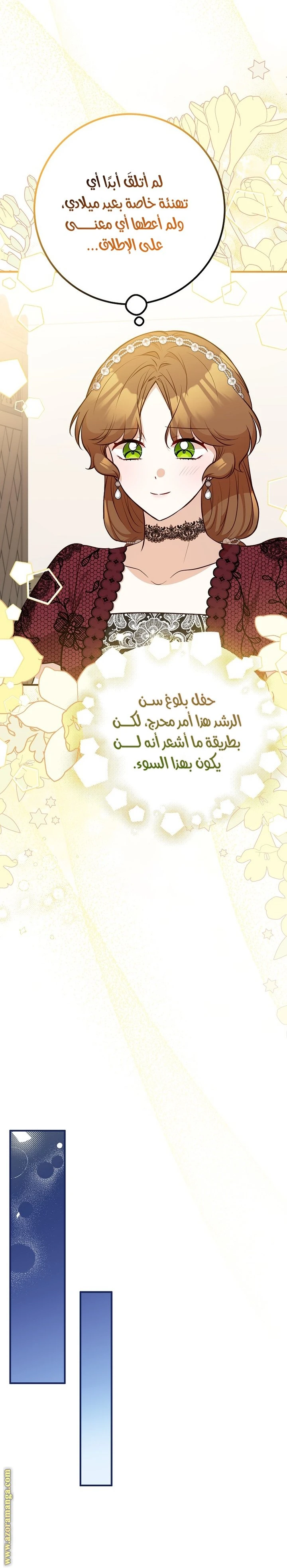 الصفحة 17