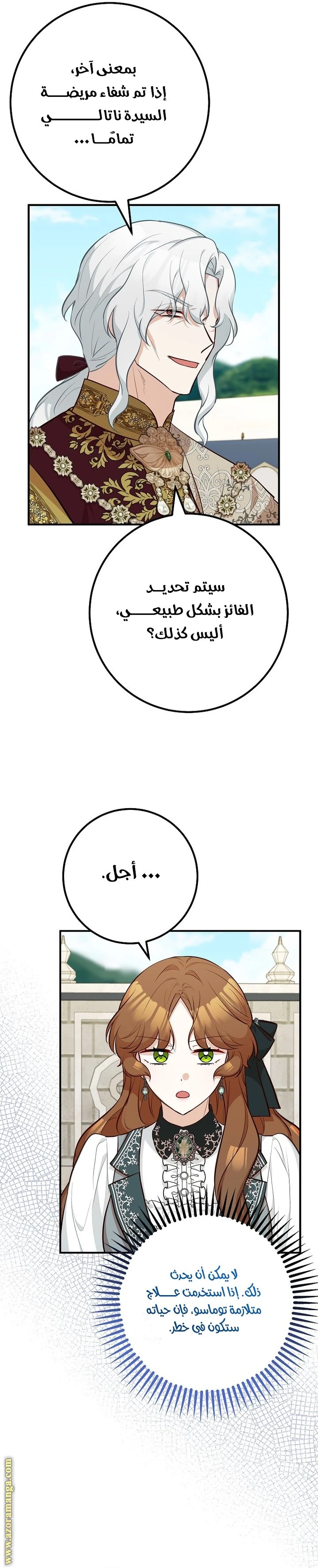 الصفحة 29