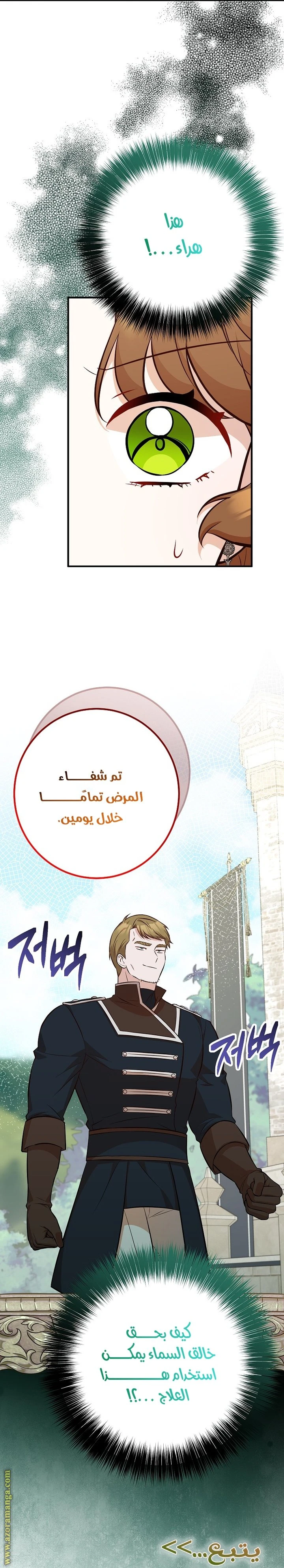 الصفحة 31