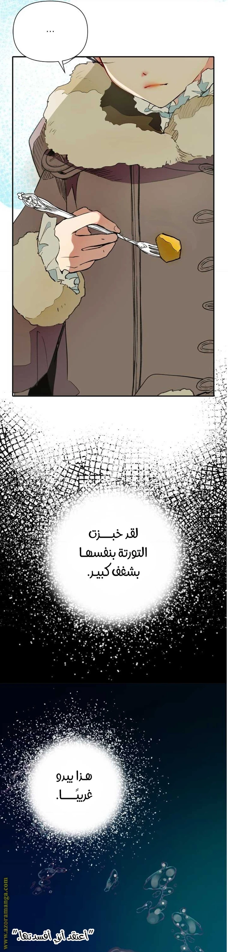 الصفحة 3