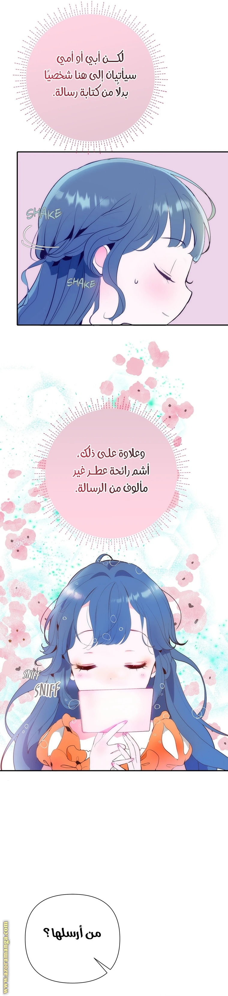 الصفحة 25