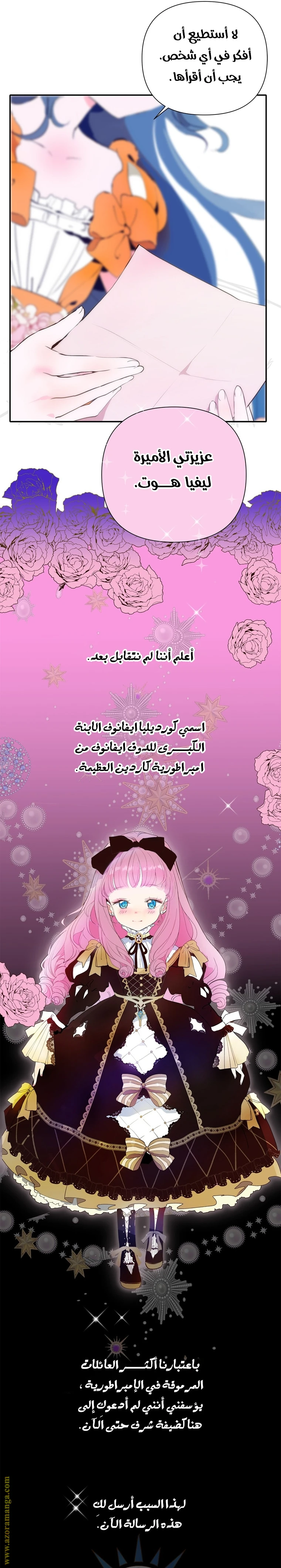 الصفحة 26