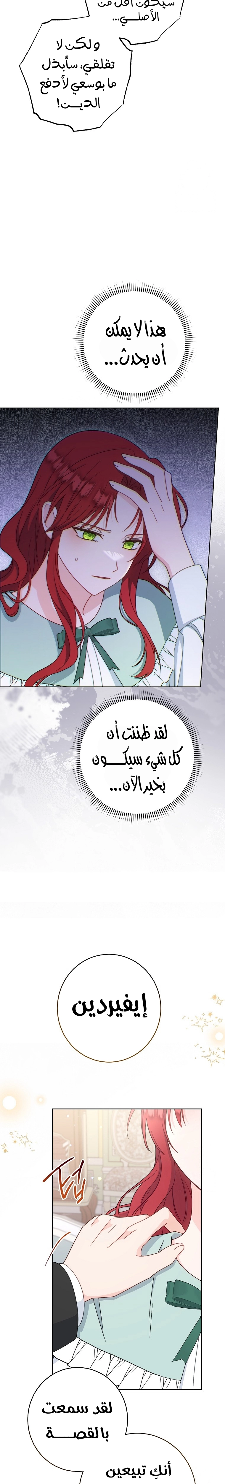 الصفحة 17