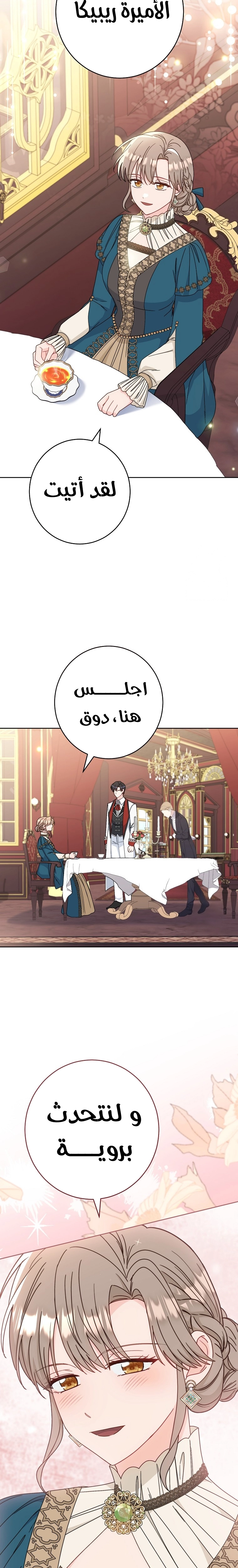 الصفحة 26